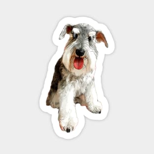 Mini Schnauzer Super Cute Dog! Sticker